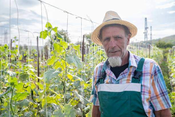 istock Portrait of a farmer working on a farm. 2104855534