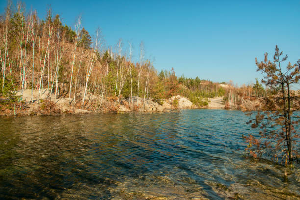 flooded quarry and forest on the shore