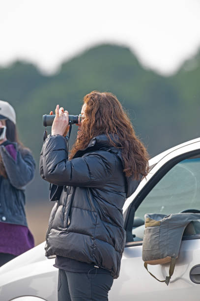 istock The woman is observing the birds with binoculars. 2104895848