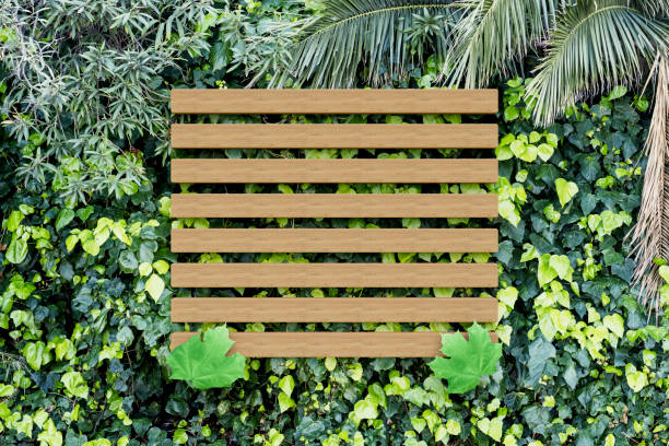 Green leaves background with wooden frame. Digitally generated image. 3d render.