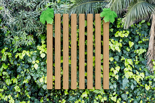 Green leaves background with wooden frame. Digitally generated image. 3d render.