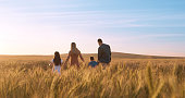 Family, field and wheat with sunrise, nature and smile for love and happiness. Parents, child and countryside for joy, fun and adventure on holiday or vacation to south africa farm at sunset