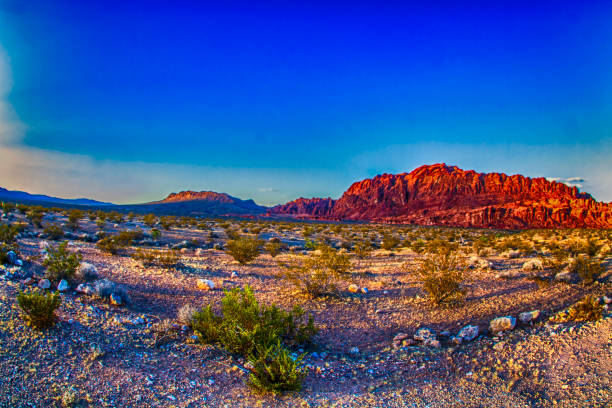 istock On the floor of a desert in Nevada 2104984901