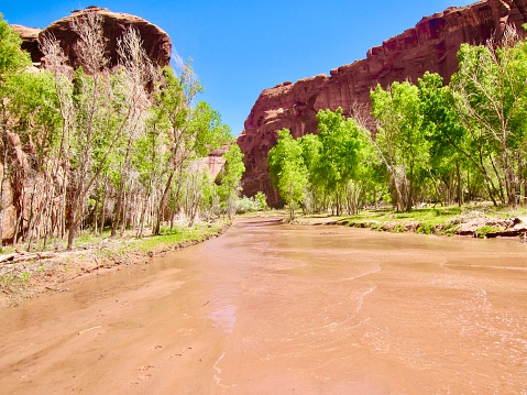 We took an off-road jeep tour through the beautiful Canyon de Chelly valley in spring. Chinle Creek is a tributary stream of the San Juan River in Apache County, Arizona. Its name is derived from the Navajo word ch'inili meaning 'where the waters came out'. Tours must be conducted by a Navajo Guide - highly recommended. Canyon de Chelly National Monument is in Chinle, northeastern Arizona on Navajo tribal lands.