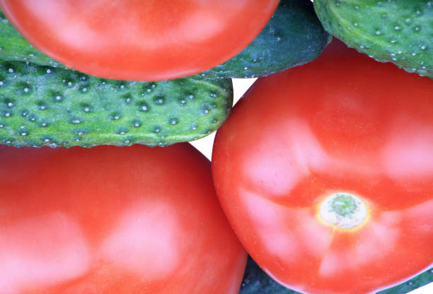 cucumber and  tomato stock photo