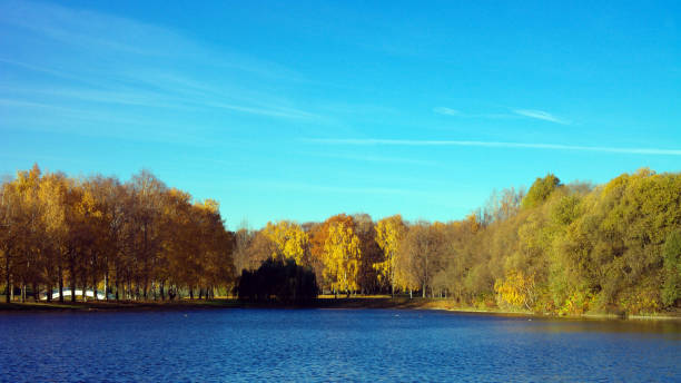 Autumn in City Park stock photo