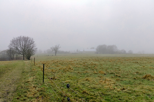 Natural landscape of a foggy morning in the countryside. Foggy farm field.
