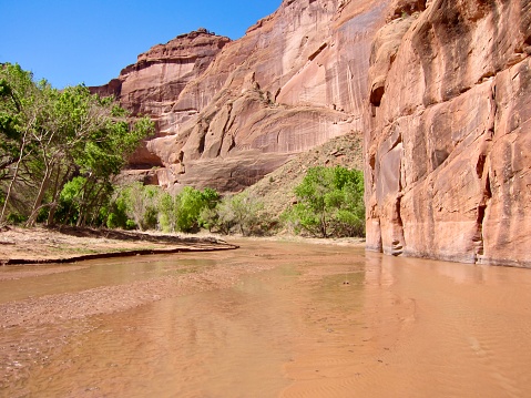 Spectacular 1,000 foot sheer sandstone walls and well-preserved Anasazi ruins can be seen along an off-road jeep tour through the beautiful Canyon de Chelly valley. Chinle Creek is a tributary stream of the San Juan River in Apache County, Arizona. Its name is derived from the Navajo word ch'inili meaning 'where the waters came out'. Tours must be conducted by a Navajo Guide - highly recommended. Canyon de Chelly National Monument is in Chinle, northeastern Arizona on Navajo tribal lands.