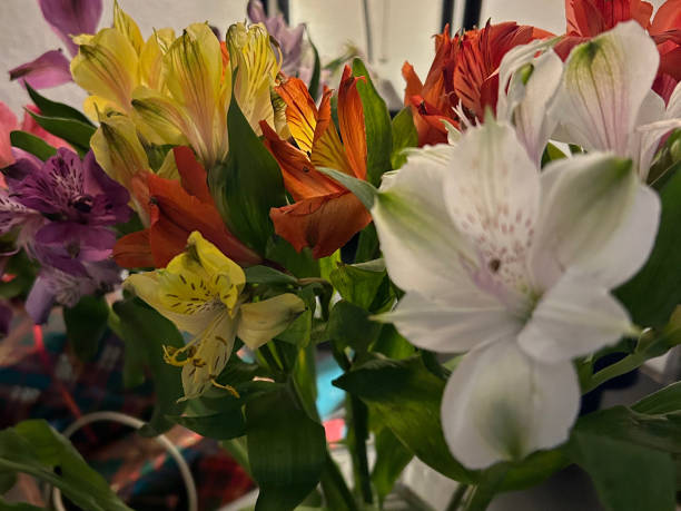 istock Bouquet of flowers 2105170306