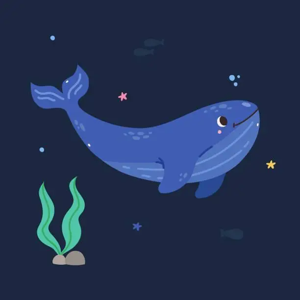 Vector illustration of whale