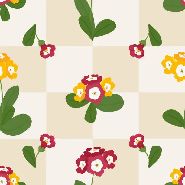 Vector illustration of Spring seamless pattern with color primroses on checkerboard beige background vector. Cute primula design for print, fabric, tablecloth, wrapping paper, wallpaper, textile, cover