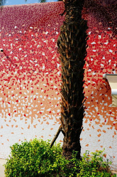 istock Palm tree trunk against tiled wall in Marrakesh, Morocco 2105210970