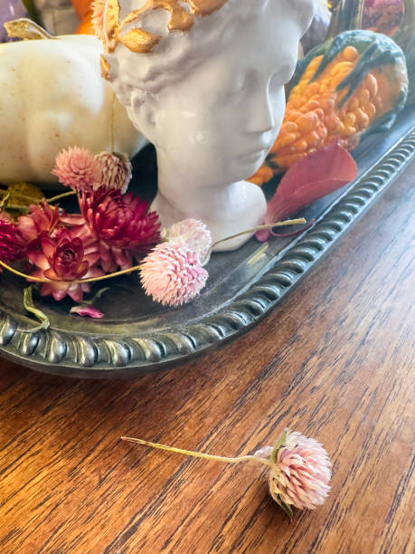istock Still life of a dry flower 2105286395