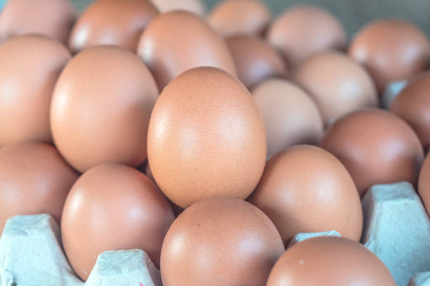 istock Close up of fresh chicken egg with selective focus 2105319001
