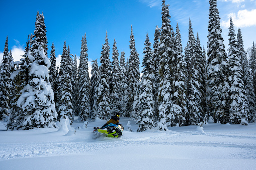 Snowmobiler drives through forest in fresh snow