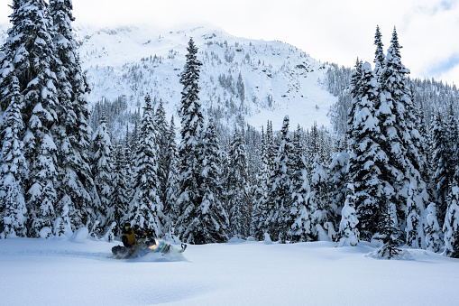 Snowmobiler drives through forest in fresh snow