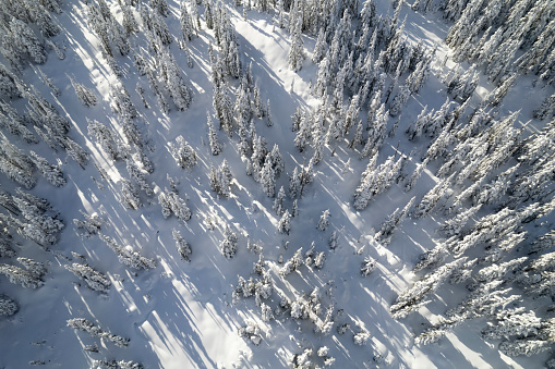 Bird's-eye view of mountains and forest in fresh snow