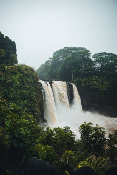 istock Torrential Majesty: Rainbow Falls Amidst Downpour in Hilo, Big Island, Hawaii 2105332620