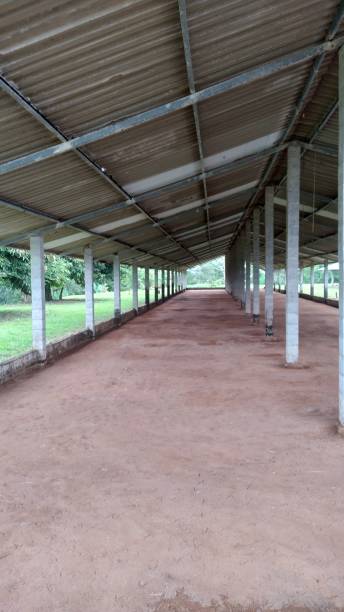 istock structure with shed-type roof, with dirt floor 2105346860