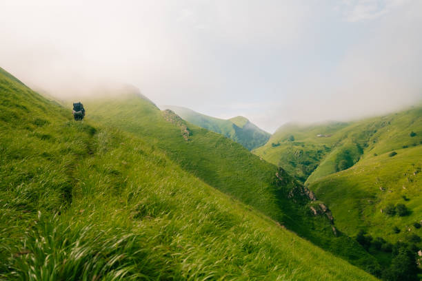 istock hiking trail in the Pyrenees mountains, Spain 2105355736