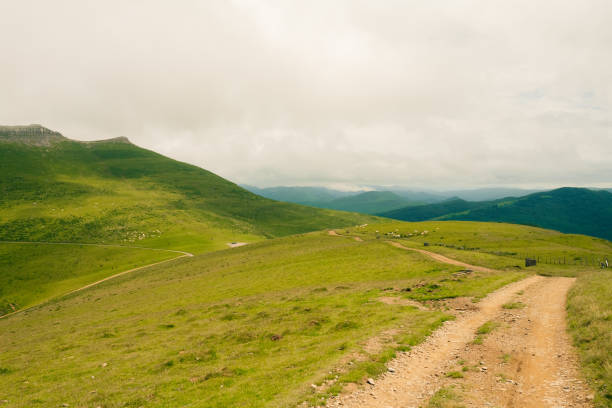 hiking trail in the Pyrenees mountains, Spain. High quality photo