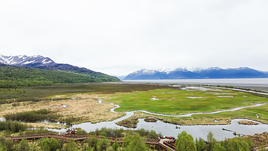 Picture was taken at Potter’s Marsh near Anchorage, Alaska. This is a wetland for birds.  Many come and enjoy looking for various birds, animals, and foliage