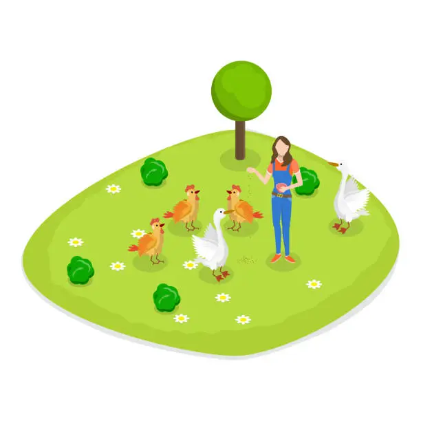 Vector illustration of 3D Isometric Flat Vector Set of Farms. Item 1