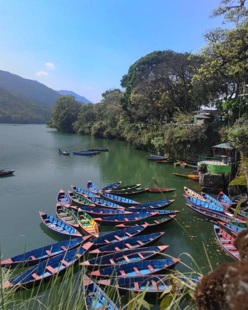 istock Phewa lake and its beauty 2105437784