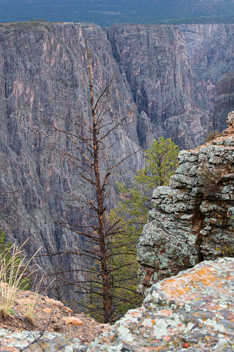 Scenery at Black Canyon of the Gunnison National Park, Colorado, USA