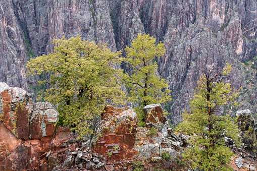 Scenery at Black Canyon of the Gunnison National Park, Colorado, USA