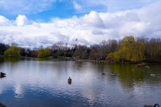 Tollgate Park, Beckton, London with White Clouds