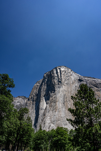 One of the many views of the famous El Capitan granite monolith from the Yosemite Valley floor in Yosemite NP. El Capitan's vertical face is the mecca for rock climbers worldwide.