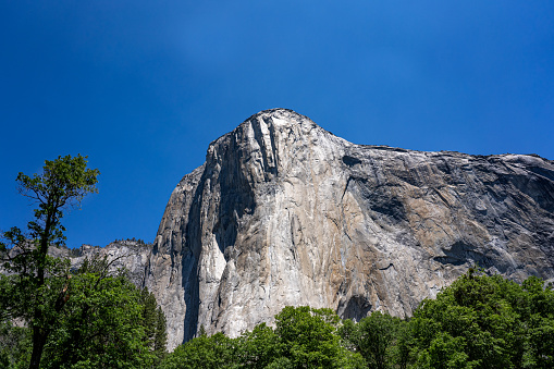 A view of the El Capitan granite monolith from the meadow on the northwest end of the Yosemite Valley. El Capitan is a mecca for rock climbers who use one of many technical routes for the ascent.