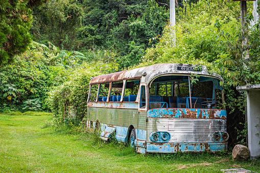 A rusted old bus is sitting in a grassy field. The bus is covered in vines and has a faded blue color. The scene gives off a sense of abandonment and neglect