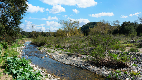 San Juan Creek in Caspers Wilderness Park in southern California.