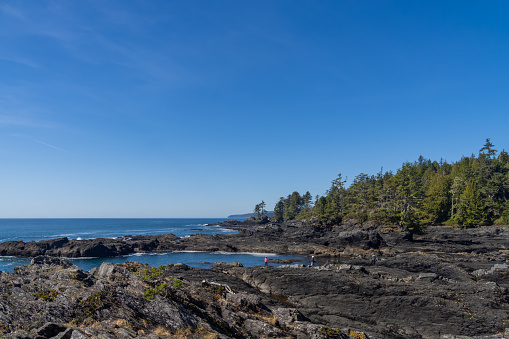 Botanic beach of Juan de Fuca provincial park in Vancouver Island known for its rich marine life and tide pools, popular destination for nature lovers, photographers and marine biologists, BC