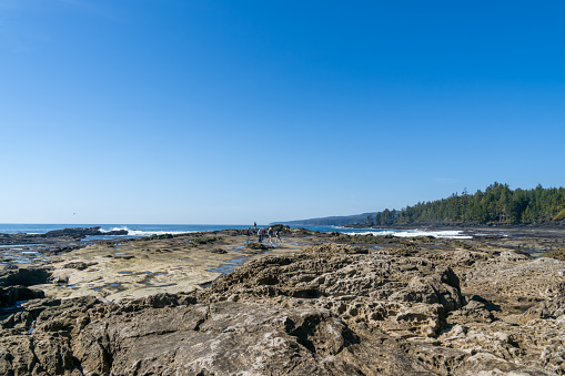 Botanic beach of Juan de Fuca provincial park in Vancouver Island known for its rich marine life and tide pools, popular destination for nature lovers, photographers and marine biologists, BC