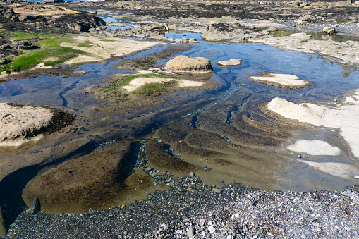 Botanic beach of Juan de Fuca provincial park in Vancouver Island known for its rich marine life and tide pools, popular destination for nature lovers, photographers and marine biologists, BC