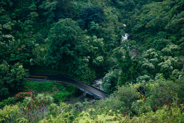 istock Waterfall on the road to Hana, Maui, Hawai'i 2105593824
