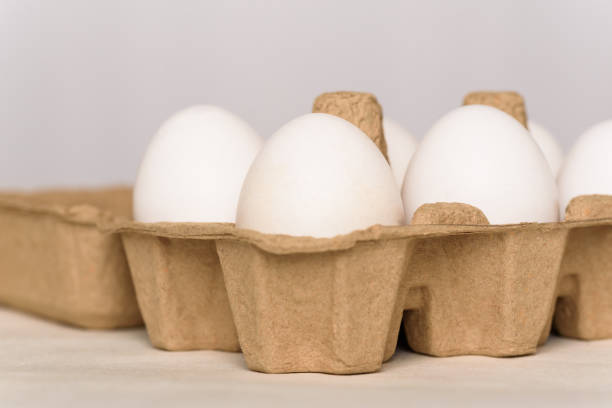 Fresh white organic eggs of the Leghorn breed stock photo