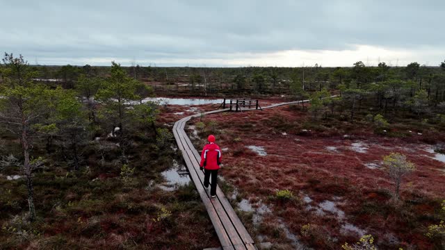 Woman in red walking in frozen swamp with dark, almost brown water reflecting a cloudy gray sky