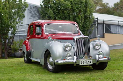 Hobart, Tasmania, Australia, April 4, 2015: View of a vinatge 1952 three litre Alvis sports saloon car being used as wedding car, parked on lawn at a venueHobart, Tasmania, Australia, April 4, 2015: View of a vintage 1952 three litre Alvis sports saloon car being used as wedding car, driving up a narrow lane