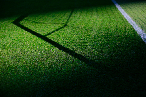 Grass in Soccer Field