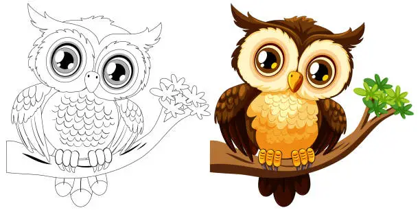 Vector illustration of Black and white and colored owl illustrations on branches