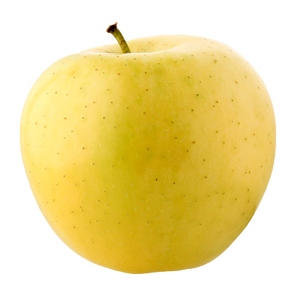 isolated yellow apple. one whole garden fruit. cut out. white background