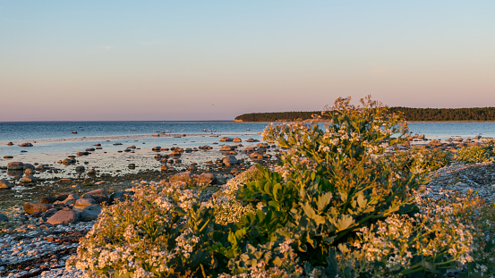 beautiful sunset landscape from a traditional rocky beach on the island of Saaremaa, Cape Undva, Tagamoisa Peninsula, Saaremaa Island, Estonia