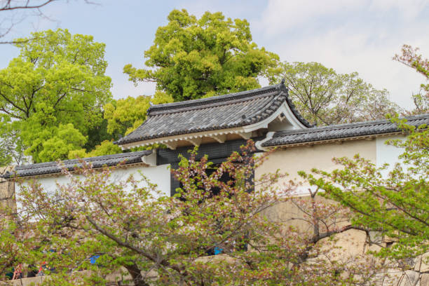 castle walls, osaka castle park, chuo ward, osaka, japan - toyotomi hideyoshi - fotografias e filmes do acervo