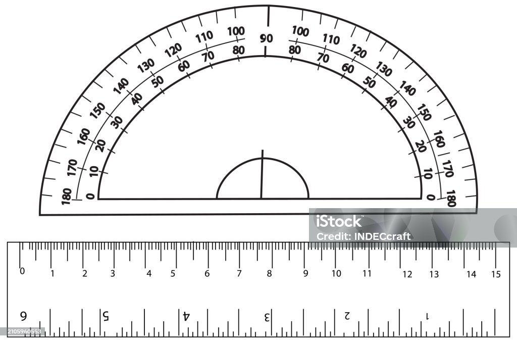 Prodector Scale Proctactor And Scale Vector Stock Illustration - Download Image Now ...