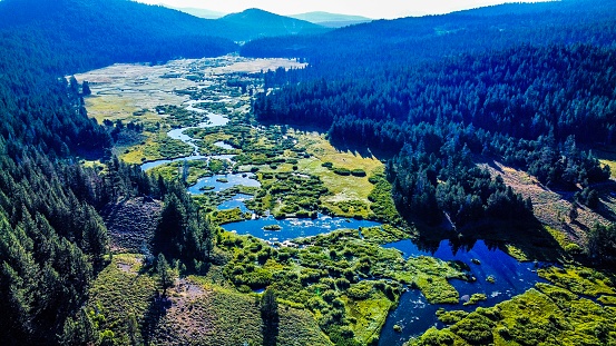 Aerial Photograph - Little Truckee River - Sierra County, CA - Tahoe National Forest - Morning Light - August