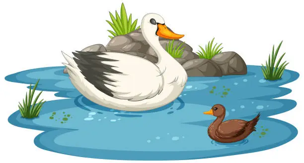 Vector illustration of Vector illustration of ducks in a peaceful pond